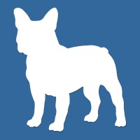 Blue Diesel Data Science logo - Similar company to Speechmed