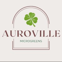 Auroville logo - Similar company to Tālam, Auroville