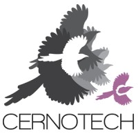 CernotechPtyLtd logo - Similar company to Evolve Unlimited