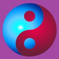 INSTITUTO IBEROAMERICANO DEL CONSENSUADO SISTÉMICO logo - Similar company to Fundación Aldana Gil