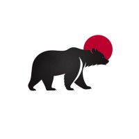Bear Systems logo - Similar company to Bearsystems