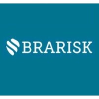 Brarisk Gestão e Tecnologia logo - Similar company to Braara - Inteligência Empresarial