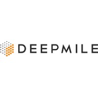 DeepMile Networks LLC logo - Similar company to Level Touch, Llc