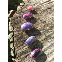 Tuinderij de Voedselketen logo - Similar company to Novalishoeve