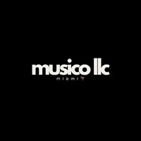 Musico LLC logo - Similar company to Eqmatch