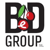 B&D - Bolognesi & Dall'Ara Group Srl logo - Similar company to Bd Consulting Srl