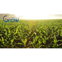 GrowGroup Israel logo - Similar company to Tramp Pet Food