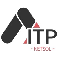 ITPNETSOL INC logo - Similar company to Nalsra Global Traders