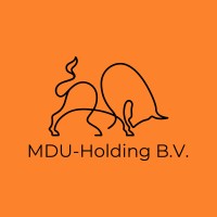 MDU-Holding logo - Similar company to Punch Energy Services B.V.