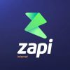 Zapi Internet logo - Similar company to Arapiraca