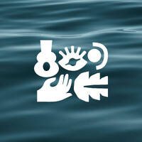 Galaxy Cruises logo - Similar company to Authentic Ecuador