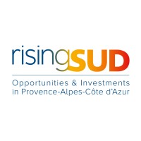 risingSUD logo - Similar company to Africalink
