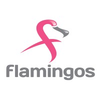 Flamingos logo - Similar company to Flamingo Simulation Systems
