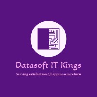 Datasoft IT Kings logo - Similar company to Kn Virtually Yours