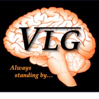 Vokes Leadership Group logo - Similar company to Pandacea