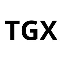 TGX: The Global Xchange logo - Similar company to Badinotti Net Services Canada Ltd.