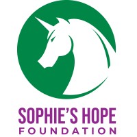 Sophies Hope Foundation (CureGSD1b) logo - Similar company to Dnm1 Epilepsy