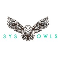 3YS Owls - Governance Consultants logo - Similar company to Cts (Corporate Technology Services)