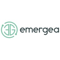 Emergea - RSC para Pymes logo - Similar company to Linkaua