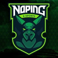 Noping Esports logo - Similar company to Noping Tunnel