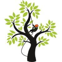 Baumbua Baumpflege logo - Similar company to Agentur Phool