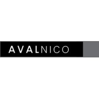 Avalnico logo - Similar company to Boonen Flexible Solutions