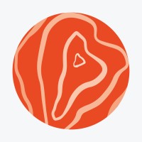 VAST. logo - Similar company to Fides