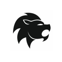 BL-Invest logo - Similar company to N2B Solutions