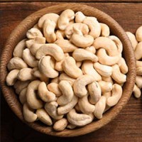 Cashew Nut Processing Machine - LFM logo - Similar company to Oltremare Processing Technologies & Services For The Cashew Nut Industry Worldwide