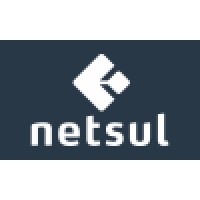 Netsul logo - Similar company to Bitsense