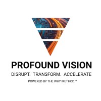 Profound Vision logo - Similar company to Sigrun