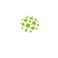 Beyond Data logo - Similar company to Beyond Data Solutions