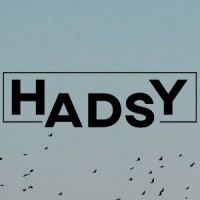 HADSY ☁️ agencja marketingu internetowego logo - Similar company to Dooxy
