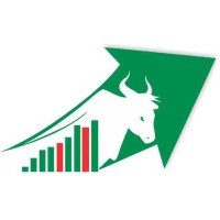 Bulls Assets Investment Solutions logo - Similar company to Khasni
