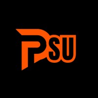 Palmetto State Utilities logo - Similar company to Wg Underground