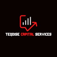 Teqdise Capital Services logo - Similar company to Teqdise Pvt Ltd