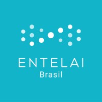 Entelai Brasil logo - Similar company to Entelai