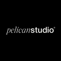 Pelican Studio logo - Similar company to Finware Mx