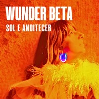 WUNDER BETA logo - Similar company to Boldr