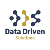 Data Driven Solutions logo - Similar company to Nara Consultores