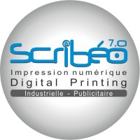 SCRIBEO logo - Similar company to Indium Location - (Indium Solutions)