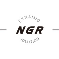 NGR Dynamic Solution GmbH logo - Similar company to D Editors Pte Ltd  慧。设计