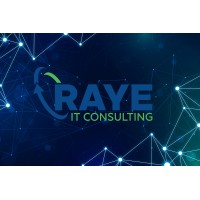 Raye IT Consulting logo - Similar company to Quadra Analytics Llc