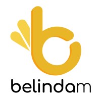 Belinda Media logo - Similar company to Diligence