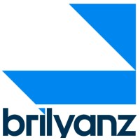 Brilyanz Consulting logo - Similar company to Development Impact Managers And Advisors