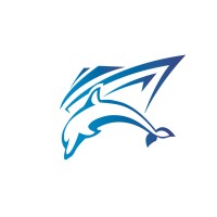 West Africa Marine Service Limited, General Ship Service In West Africa