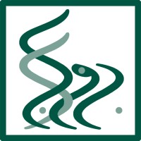 BehAfza GMP Consulting Company logo - Similar company to Pasouk