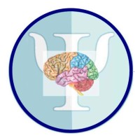 VoxBrain Academy logo - Similar company to Independence Works Ltd