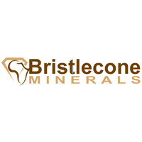 Bristlecone Minerals logo - Similar company to Kenosa International Minerals