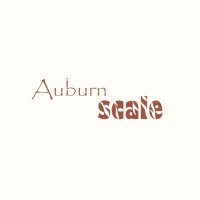 Auburn Scale logo - Similar company to Pin Finance